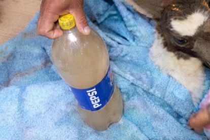 Comunarios muestran la muestra de agua