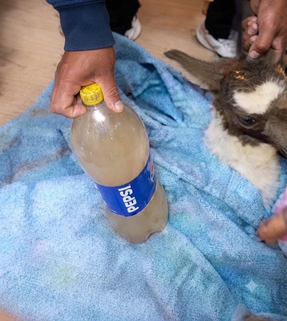 Comunarios muestran la muestra de agua