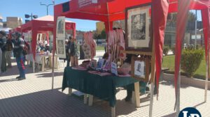 feria estampas con altura