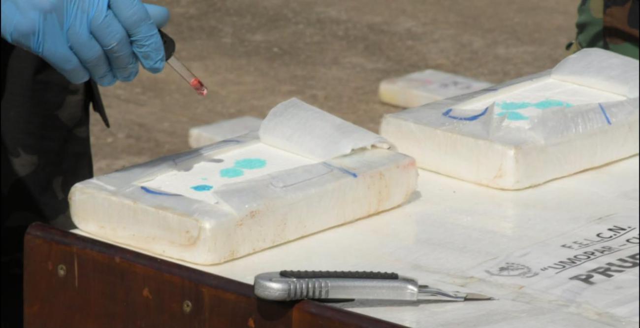 Estos resultados son el reflejo del trabajo articulado del Ministerio de Gobierno, a través del Viceministerio de Defensa Social y Sustancias Controladas y la Fuerza Especial de Lucha Contra el Narcotráfico (FELCN)