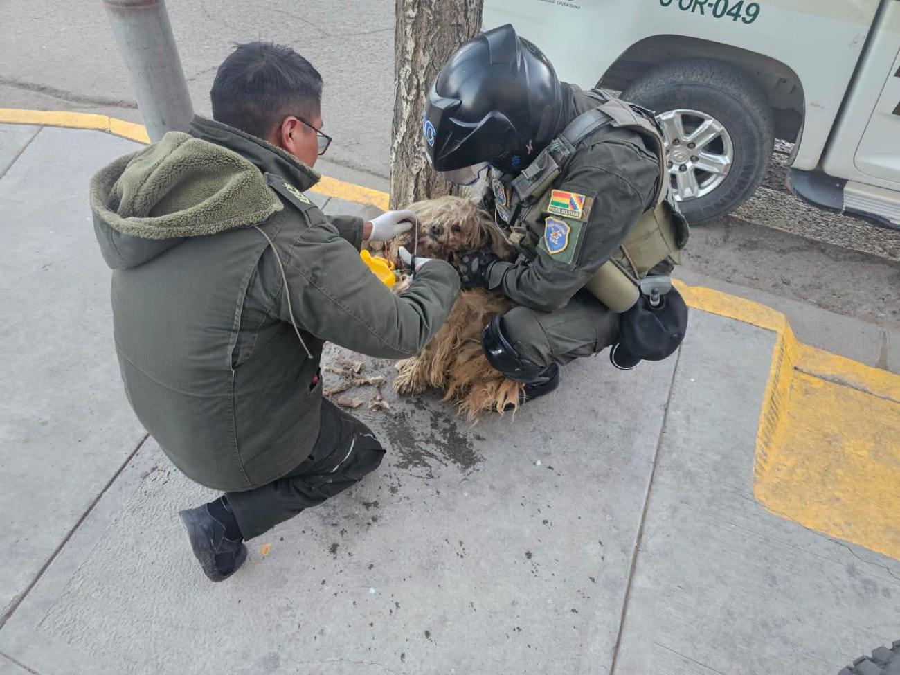 Imagen de la campaña