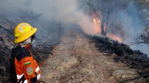 incendios forestales