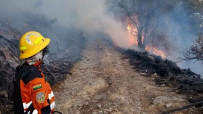 incendios forestales