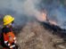 incendios forestales