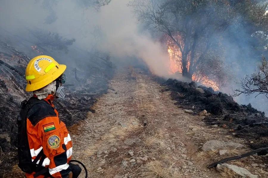 incendios forestales
