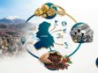 exportaciones de La Paz