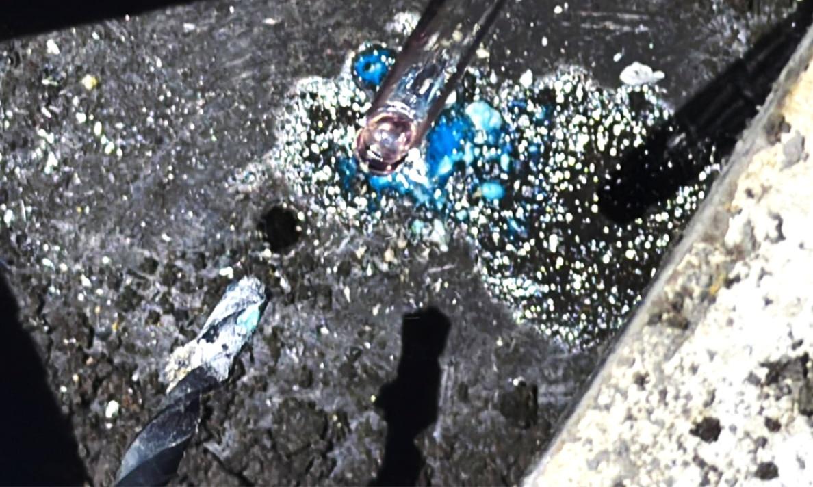 Imagen del operativo