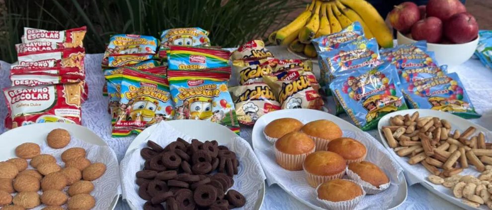 Desde el 20 de julio, el alcalde Manuel Saavedra entregará alimentación complementaria
