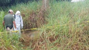 Vecinos alertaron sobre el hallazgo del cuerpo sin vida de un hombre entre los matorrales