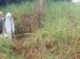 Vecinos alertaron sobre el hallazgo del cuerpo sin vida de un hombre entre los matorrales