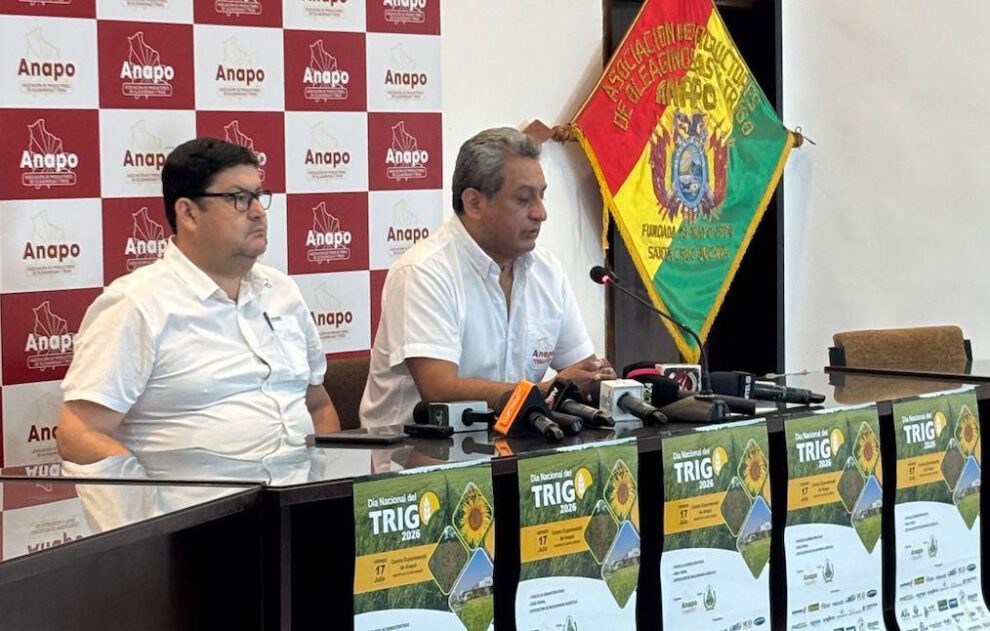 Anapo impulsa el Día Nacional del Trigo para fortalecer una producción nacional que hoy cubre solo el 11% del consumo