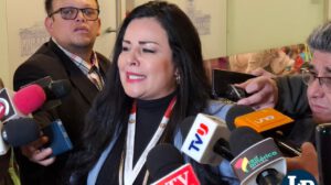 La diputada Aguirre en conferencia de prensa