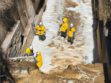 Inspección técnica para el monitoreo del embovedado del río Choqueyapu