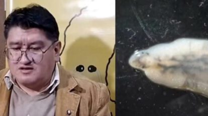 Fasciola hepática. afecta gravemente al sistema digestivo, registra una presencia importante en las comunidades aledañas al lago Titicaca