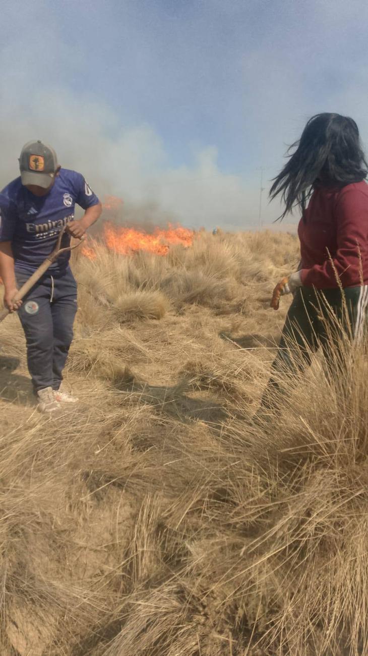 Pobladores de Tolapampa realizan labores de control para frenar el avance de las llamas