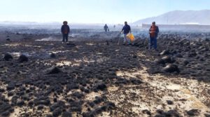 Vista de los terrenos calcinados tras el paso del fuego en la comunidad