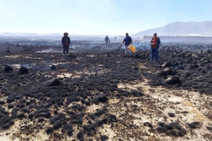 Vista de los terrenos calcinados tras el paso del fuego en la comunidad