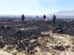 Vista de los terrenos calcinados tras el paso del fuego en la comunidad