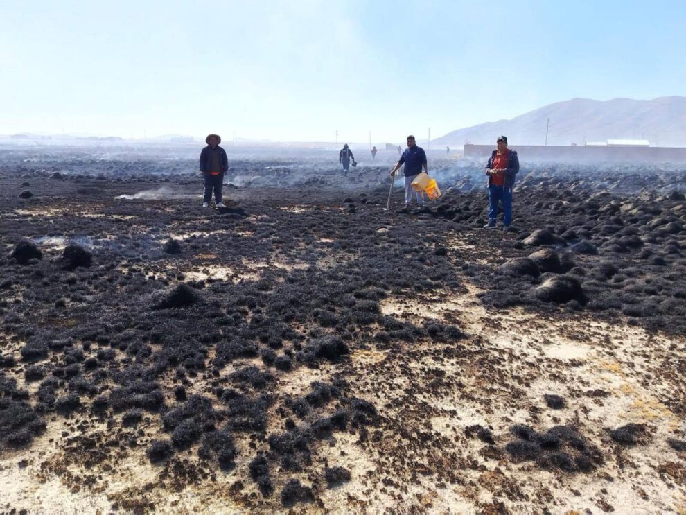 Vista de los terrenos calcinados tras el paso del fuego en la comunidad