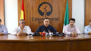 La Cámara Forestal de Bolivia pide revisar la paralización de exportaciones ante nuevas pruebas técnicas y declaraciones del Fiscal General