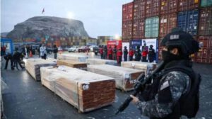 Dos estudios internacionales confirmaron que la madera boliviana no tenía droga