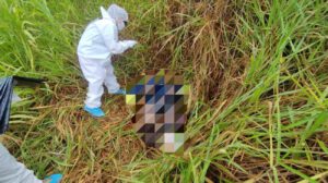 De acuerdo a la investigación preliminar del presente caso, se halló el vehículo conducido por la víctima en un taller denominado LA TUERCA, ubicado en un barrio de la ciudad de Riberalta