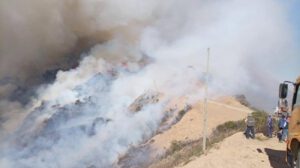 incendio forestal