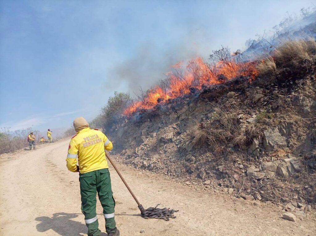 incendio forestal