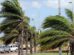 vientos
