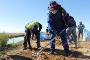 Voluntarios