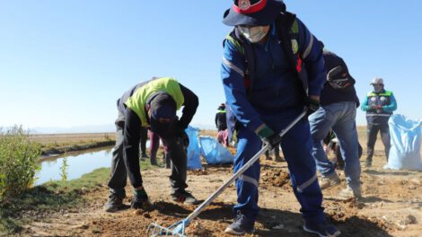 Voluntarios