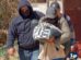 feminicidio en Oruro
