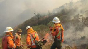 incendios santa cruz