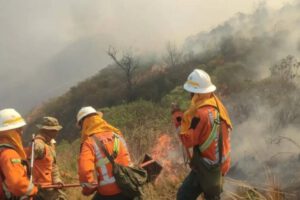 incendios santa cruz