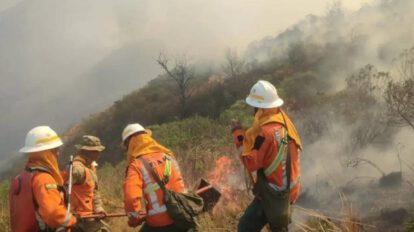 incendios santa cruz