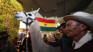 Los ejemplares camélidos conquistaron la Asamblea Legislativa