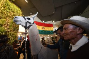 Los ejemplares camélidos conquistaron la Asamblea Legislativa