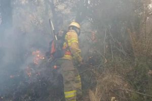 Tres departamentos de Bolivia enfrentan incendios simultáneamente