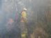Tres departamentos de Bolivia enfrentan incendios simultáneamente