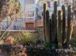El Jardín Botánico es uno de los principales espacios de conservación de flora en La Paz