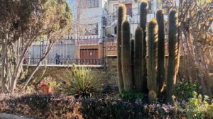 El Jardín Botánico es uno de los principales espacios de conservación de flora en La Paz