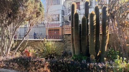 El Jardín Botánico es uno de los principales espacios de conservación de flora en La Paz