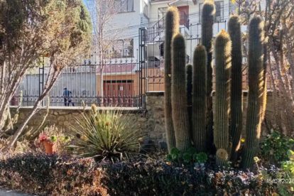 El Jardín Botánico es uno de los principales espacios de conservación de flora en La Paz