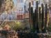 El Jardín Botánico es uno de los principales espacios de conservación de flora en La Paz
