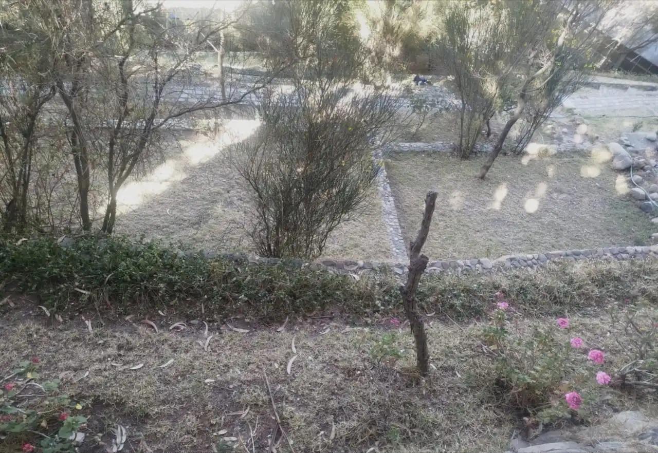 Jardín Botánico