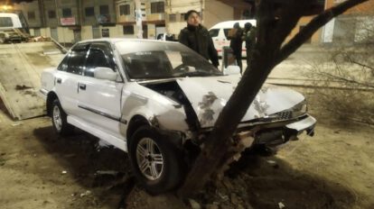 El vehículo blanco quedó incrustado en un árbol
