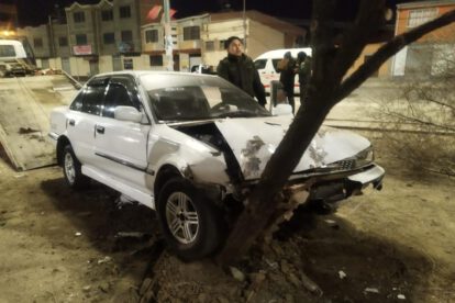 El vehículo blanco quedó incrustado en un árbol