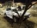 El vehículo blanco quedó incrustado en un árbol