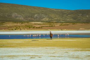 Condoroco en Oruro