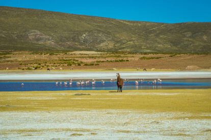 Condoroco en Oruro